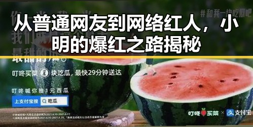从普通网友到网络红人，小明的爆红之路揭秘
