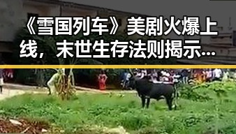 《雪国列车》美剧火爆上线，末世生存法则揭示人性光暗交织🌍🚆